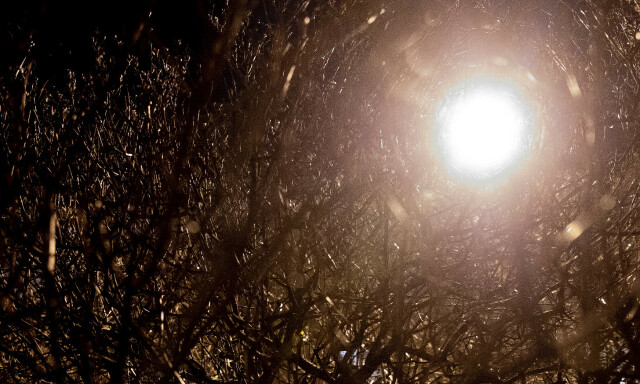 image: - Prøvde å finne en norsk Weinstein